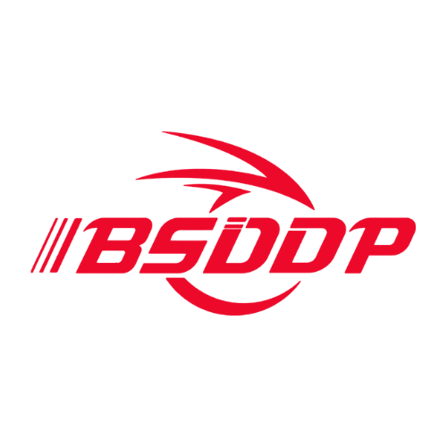 BSDDP